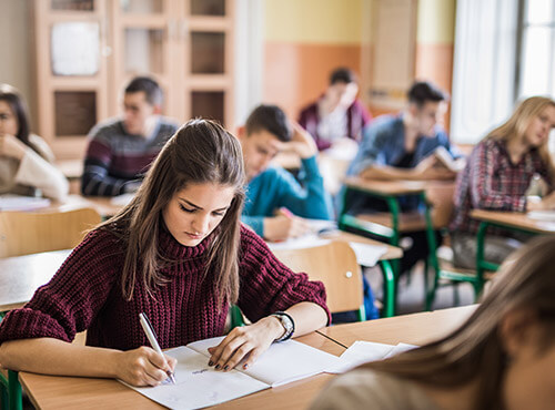 L’isolation phonique dans les écoles aide à apprendre et à se concentrer en travaillant. Une petite fille travaille en étant bien concentrée dans la salle de classe d’une école avec des dispositifs d’isolation acoustique.