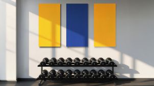Images d'application : absorbeurs acoustiques dans une salle de sport